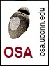 osa.uconn.edu