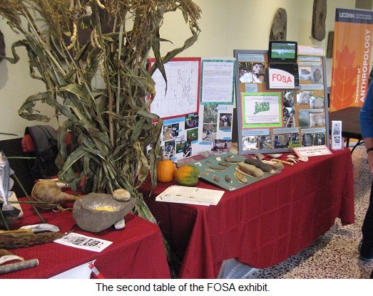 The second table of the FOSA exhibit.