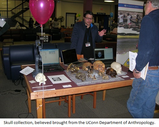 Skull collection, believed brought from the UConn Department of Anthropology.
