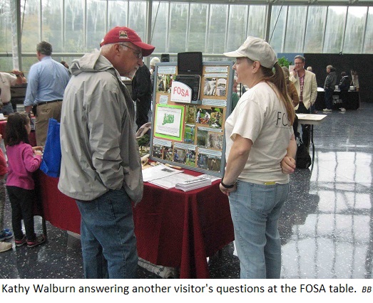 Kathy Walburn answering another visitor's questions at the FOSA 
                                           table. BB
