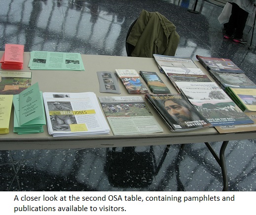 A closer look at the second OSA table, containing pamphlets and
                                           publications available to visitors.