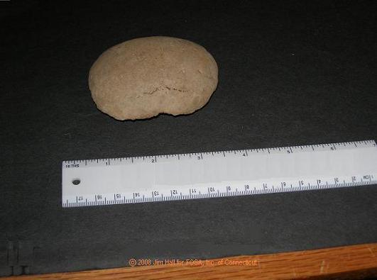 This is the opposite side of the oblong pebble shown in the previous image. It clearly shows the turtle-back form.
